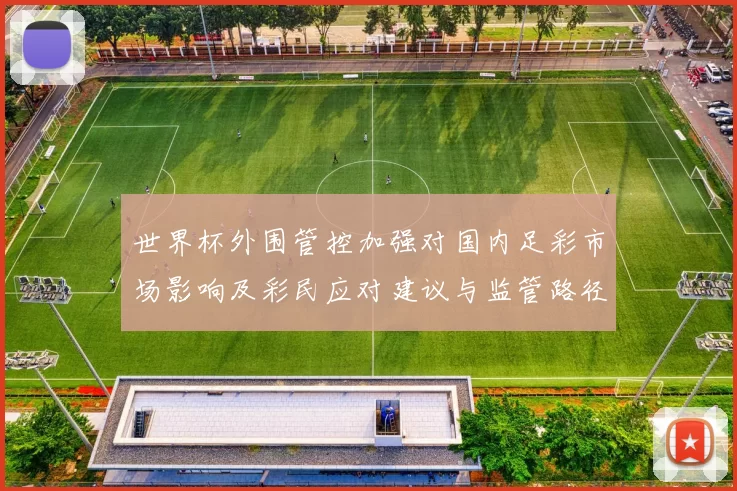 世界杯外围管控加强对国内足彩市场影响及彩民应对建议与监管路径调整